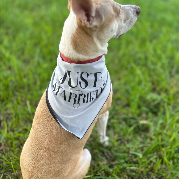 New with Tags Reversible Dog Bandanna “Just Married” “Engaged” Wedding - Picture 2 of 6